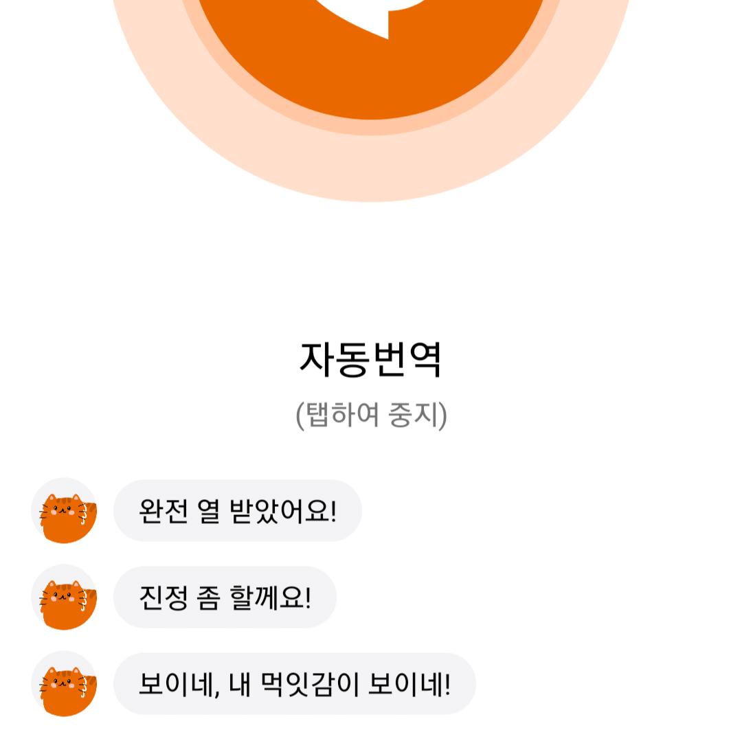 이렇게 개빡친 고양이 처음 봄.twt | 인스티즈