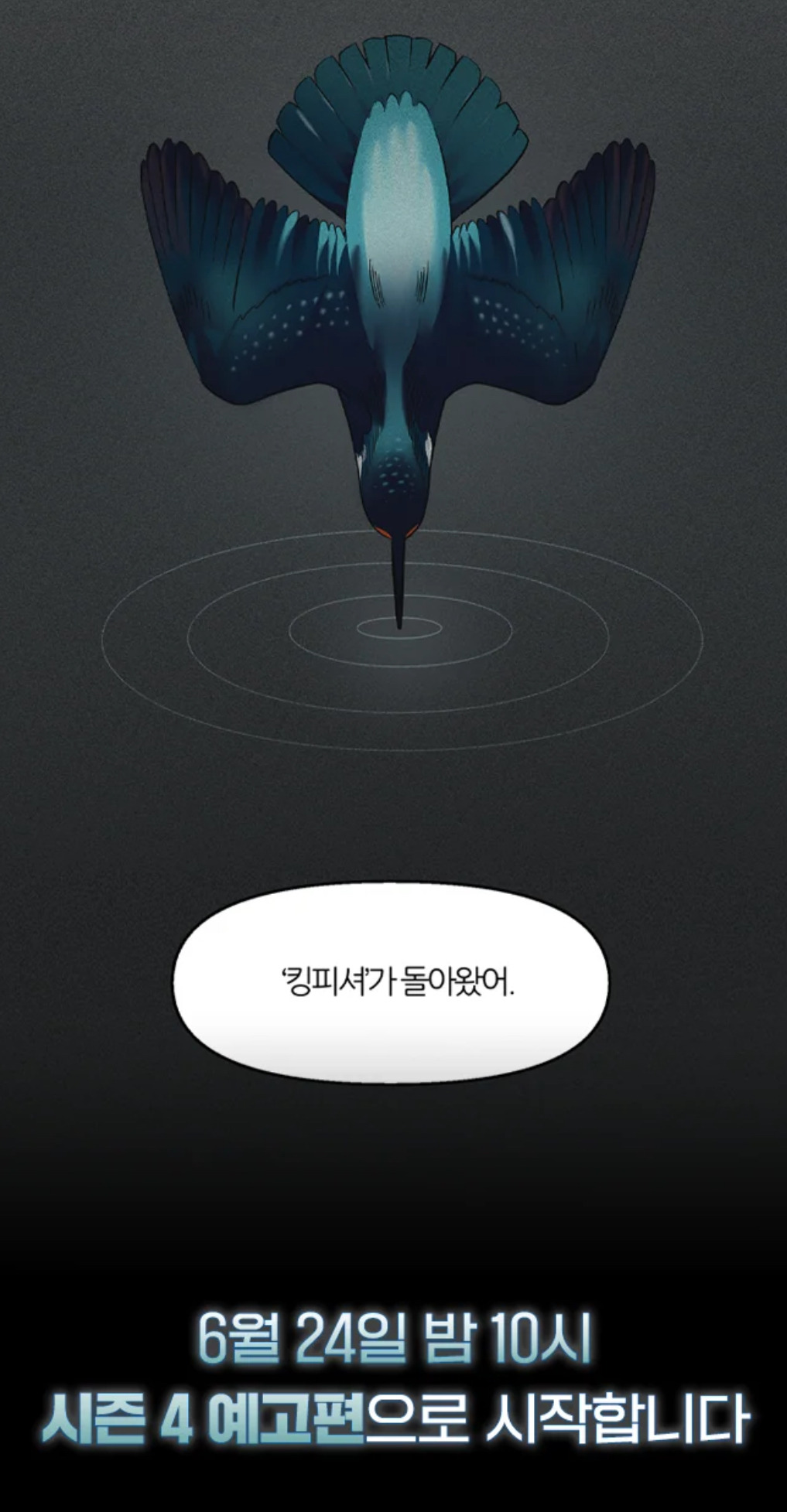 '킹피셔'가 돌아왔어 | 인스티즈