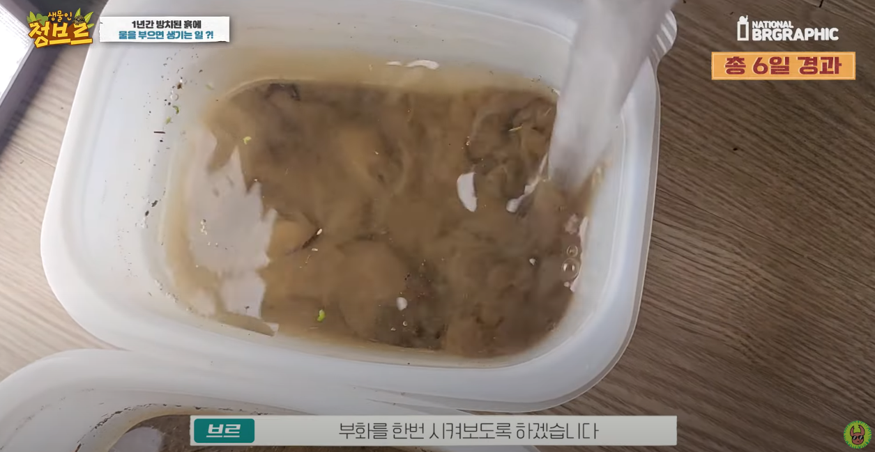 죽은 땅에 물을 부었는데 생명체들이 부화함 개신기 (지진이나 홍수가 일어나는 이유일까? 🤔) | 인스티즈