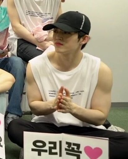 팔뚝에 환장하는 사람들을 위한 남자아이돌 민소매 모음 | 인스티즈