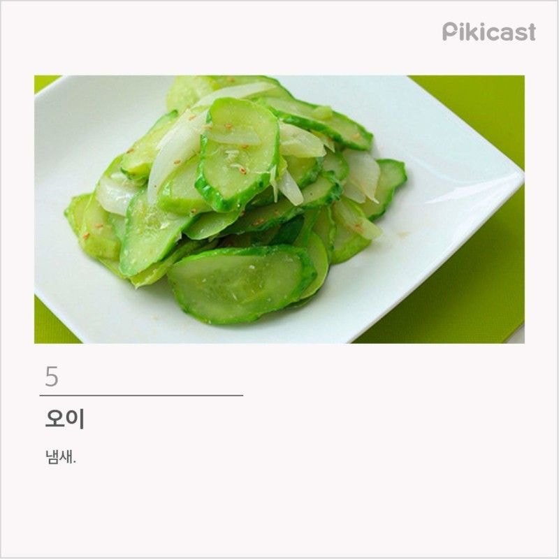 프로편식러 등급 | 인스티즈