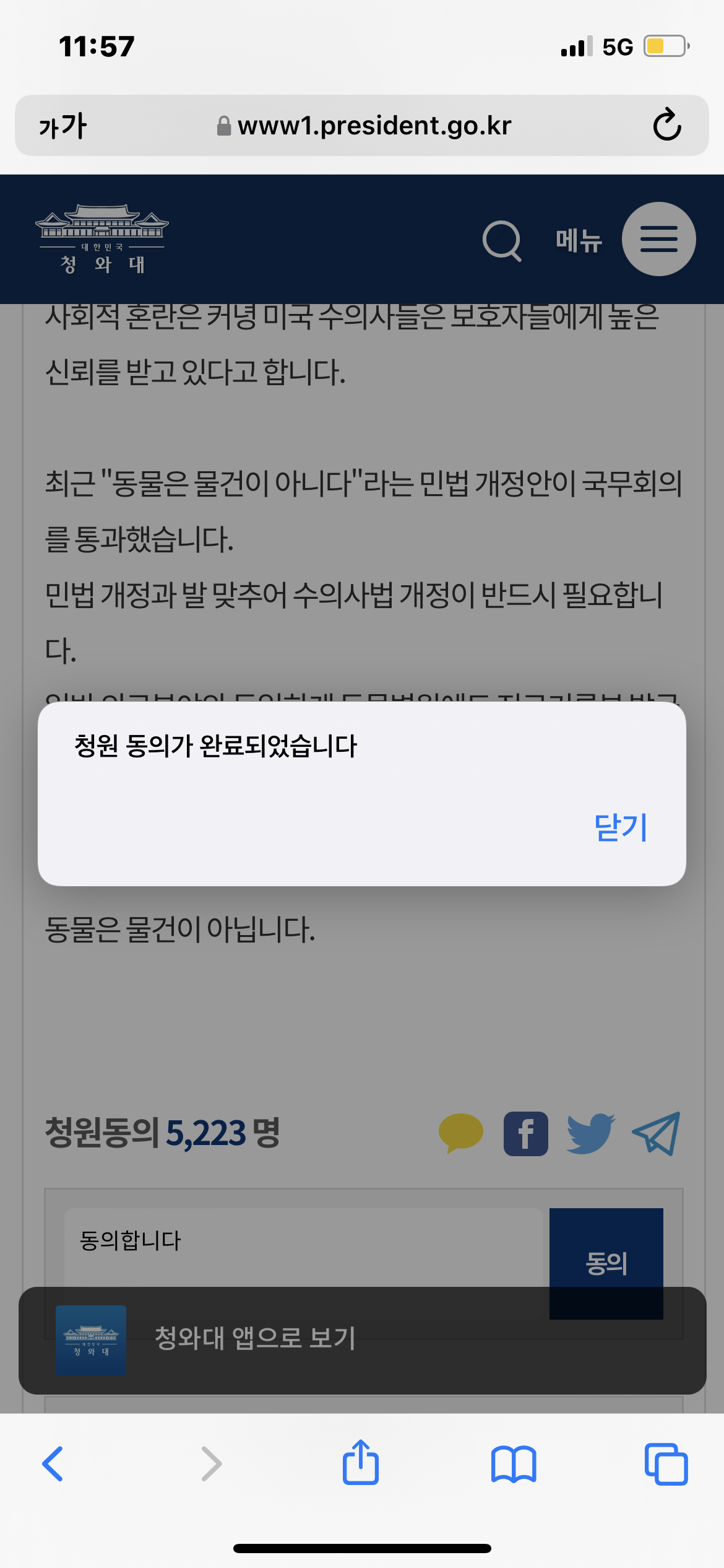 건강했던 2살 강아지를 죽이고 법대로 하자는 수의사 (청원 있음) | 인스티즈