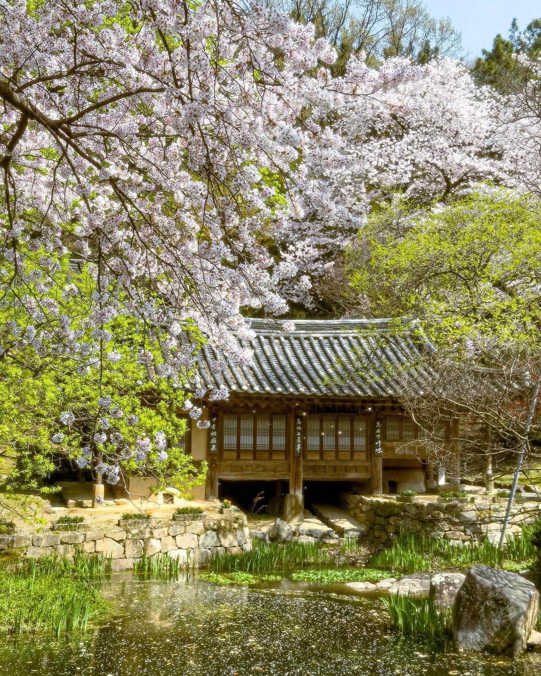 한국관광공사 계정에서 볼 수 있는 한국 | 인스티즈