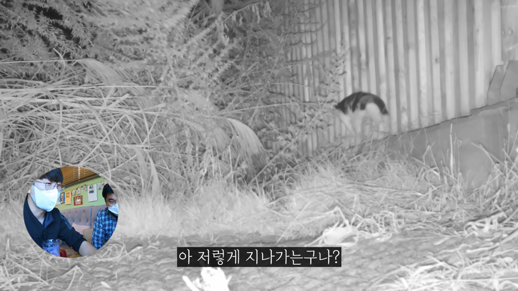 고속도로에 있는 생태통로 진짜 야생동물이 다닐까? | 인스티즈