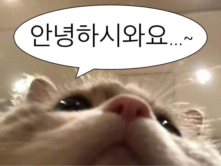 나는 어릴 때 ~ 했다 | 인스티즈