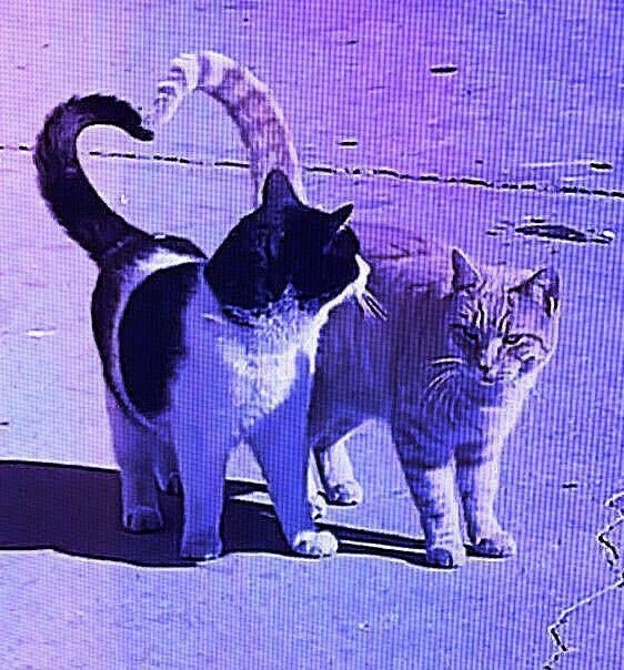 낭만 충전할 시간 | 인스티즈