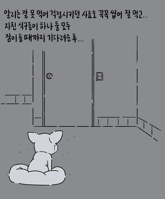 갑자기 떠난 아빠와 15살 강아지.jpg | 인스티즈