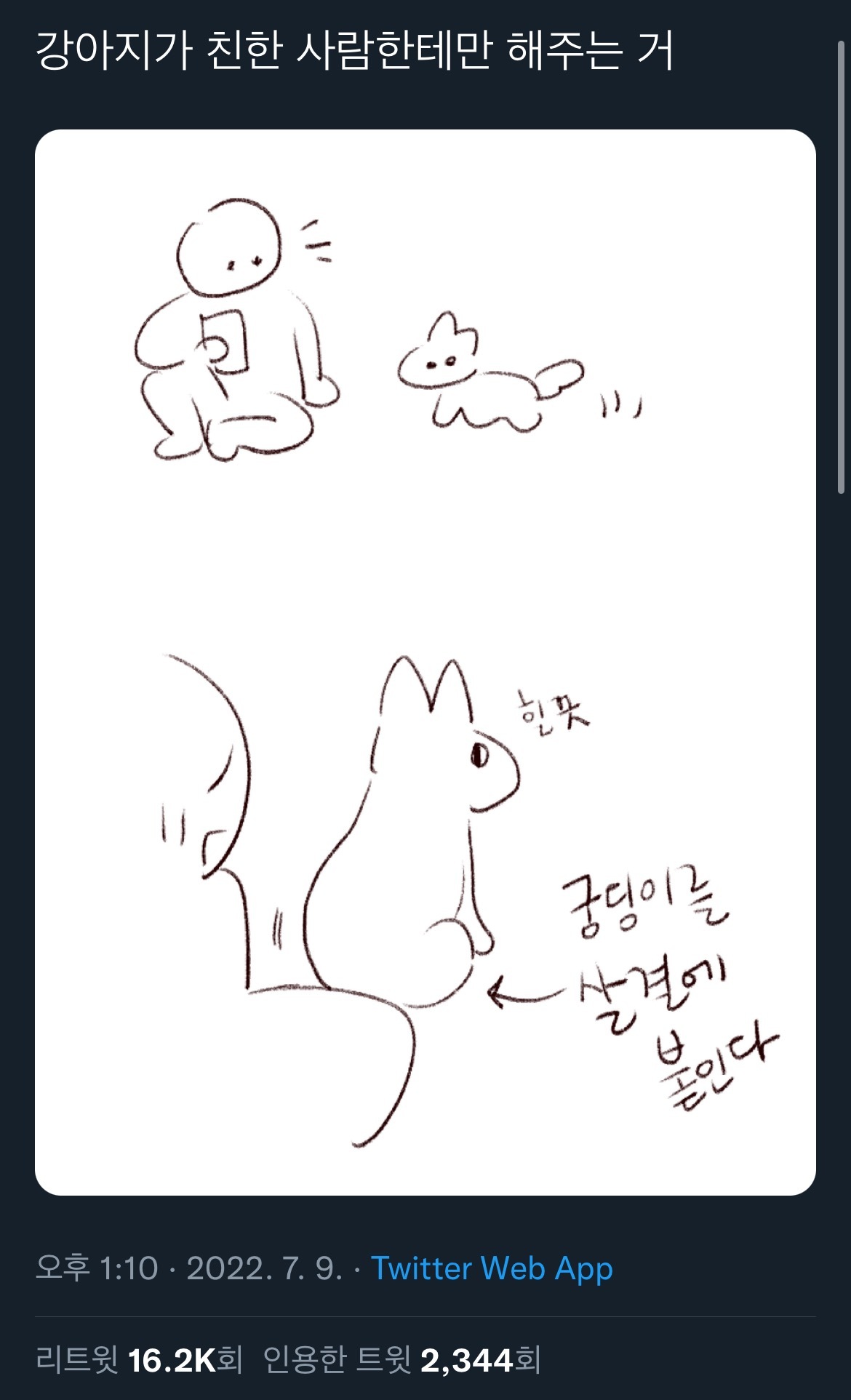 강아지가 친한 사람한테만 해주는 거.twt | 인스티즈