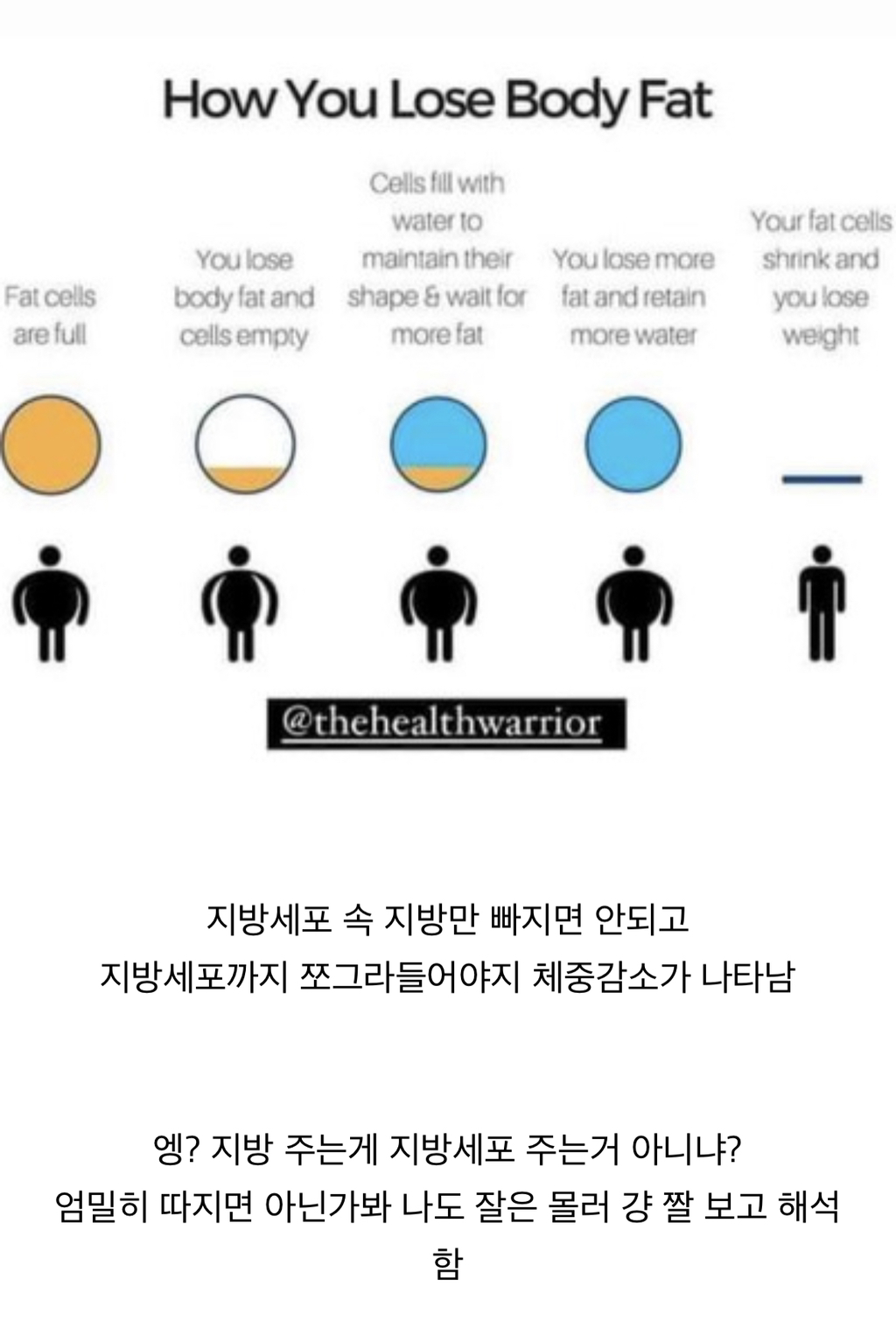 다이어트 하는데 몸무게가 오히려 늘어 | 인스티즈