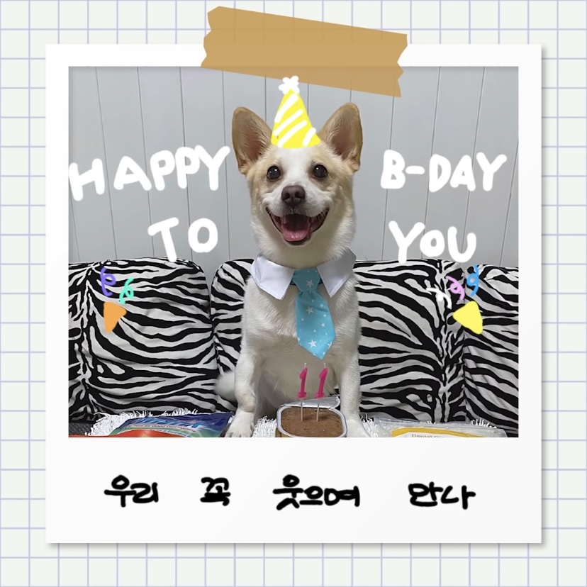 강아지별로 떠난 전 엑스원 이은상 반려견 웅이 | 인스티즈