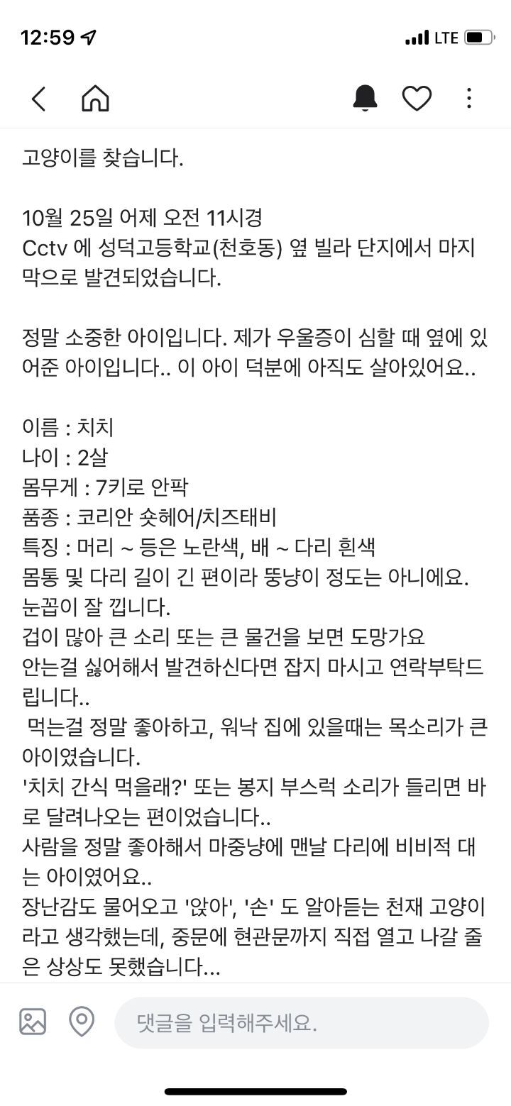 서울시 강동구 천호동에서 잃어버린 고양이를 찾습니다 | 인스티즈