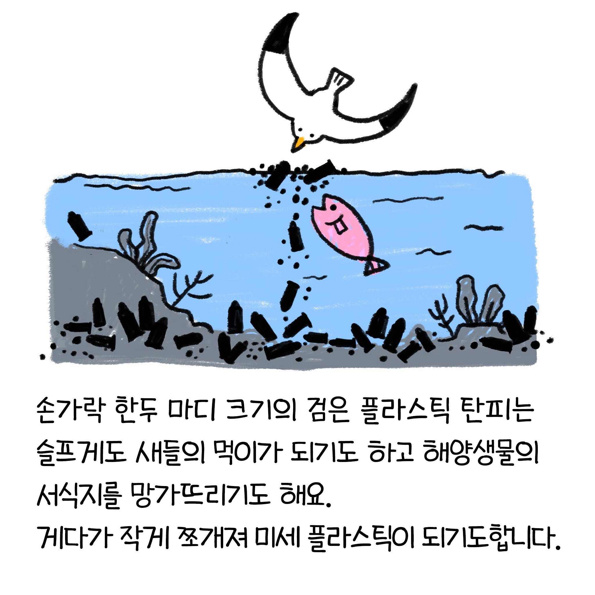 바닷가에서 폭죽놀이를 금지하는 이유!! | 인스티즈