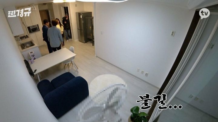 하루동안 당근으로 자취생 집안살림 다 사주는 이경규 | 인스티즈