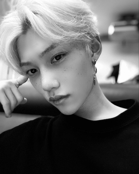 씨스테이 이미지