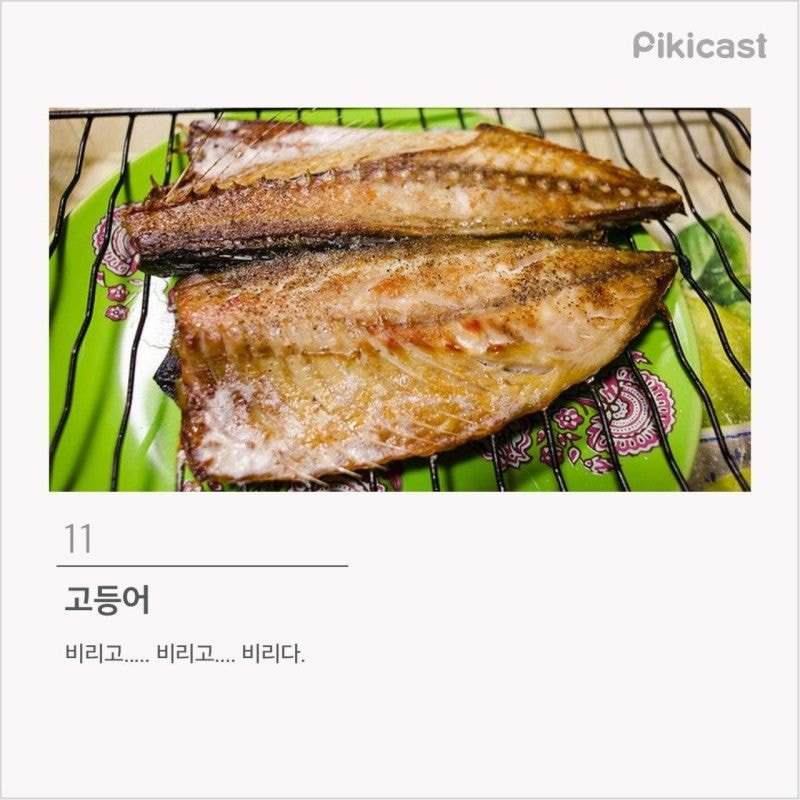 프로편식러 등급 | 인스티즈