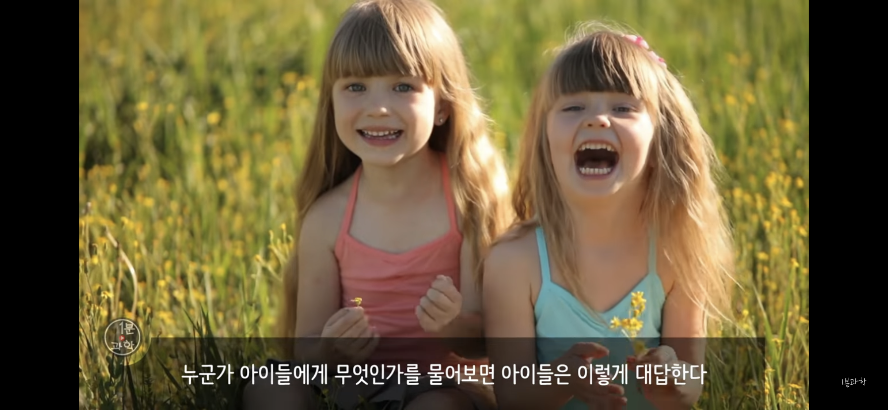 전세계에서 금지된 마약 | 인스티즈