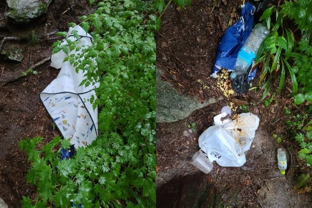 "계곡서 김밥 던지고 길 따라 쓰레기 버린 문신남…딸 보기 안 부끄럽나" | 인스티즈