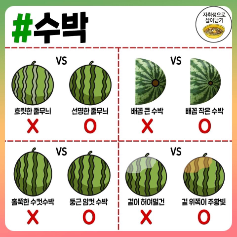맛있는 과일 고르는 방법.jpg | 인스티즈