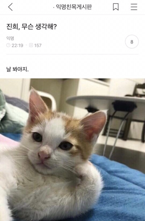 반려동물들의 귀여운 익웃 | 인스티즈