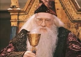 해리포터 교수중에 실제로 내 교수였으면 좋겠는 교수 골라보자 | 인스티즈