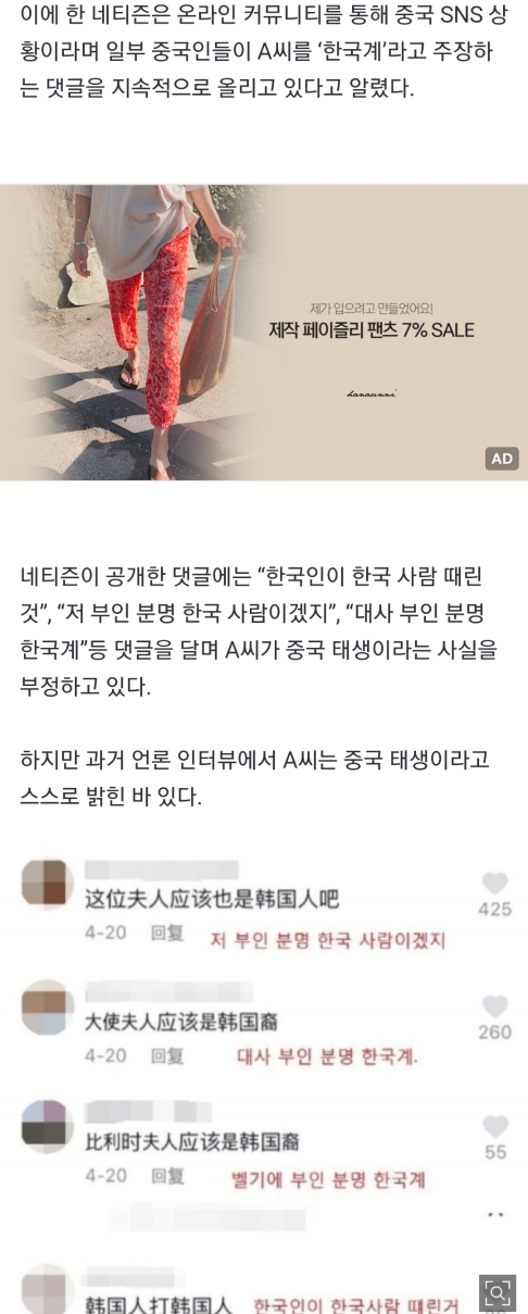"한국인이 한국인 때린 것”…벨기에 대사 부인 '부정'하는 中네티즌 | 인스티즈