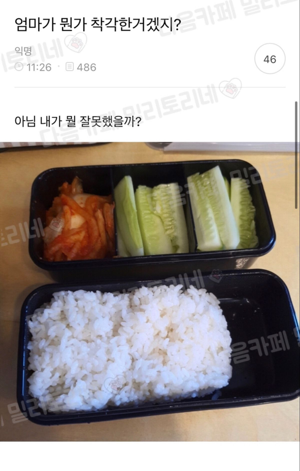 개쪽팔려... 버스기사님 계속 나한테 말거시길래 네?네? 하다가 운전석까지 가서 네?? 했는데 | 인스티즈