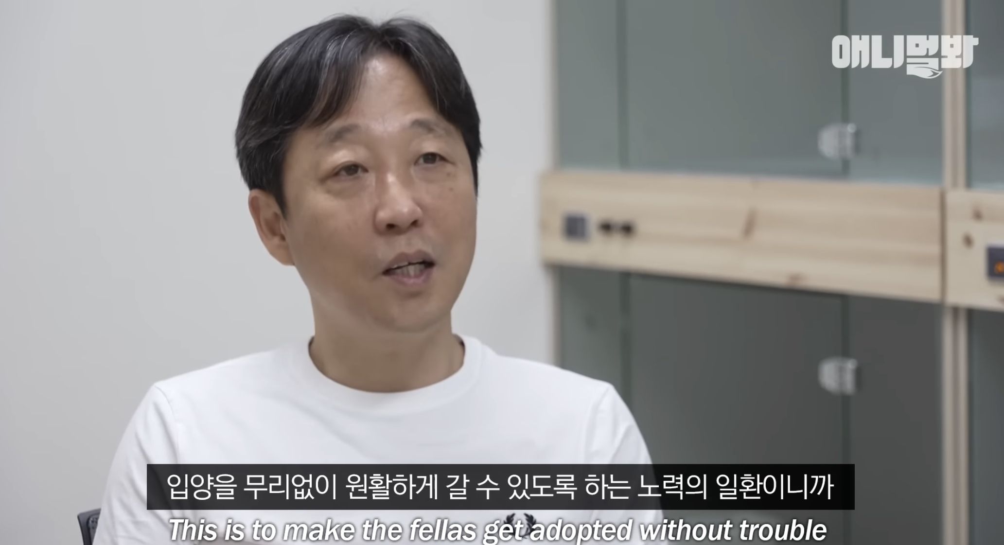 유기견들의 입양을 위해 논산에 집을 산 사람 | 인스티즈