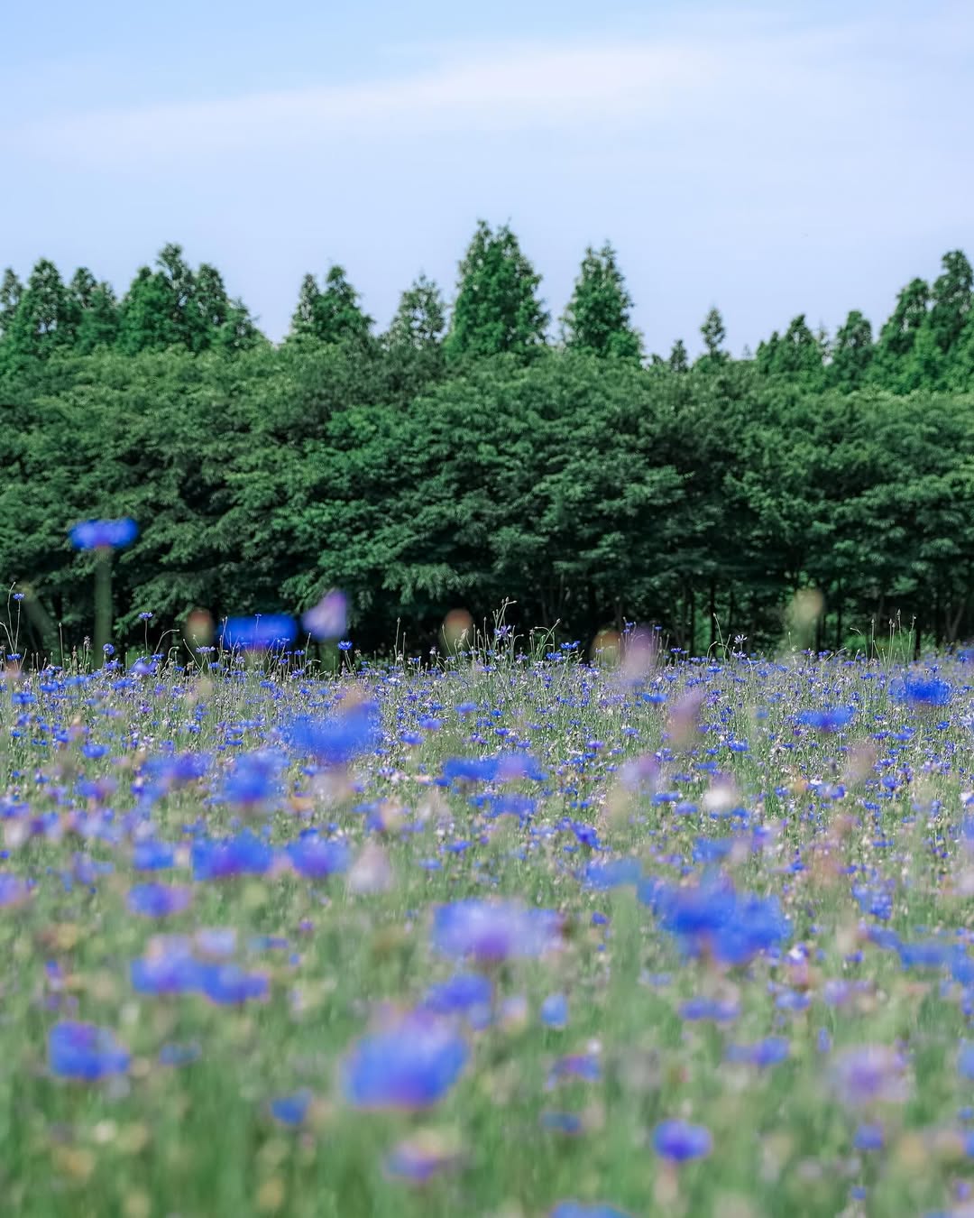 한국관광공사 계정에서 볼 수 있는 한국 | 인스티즈