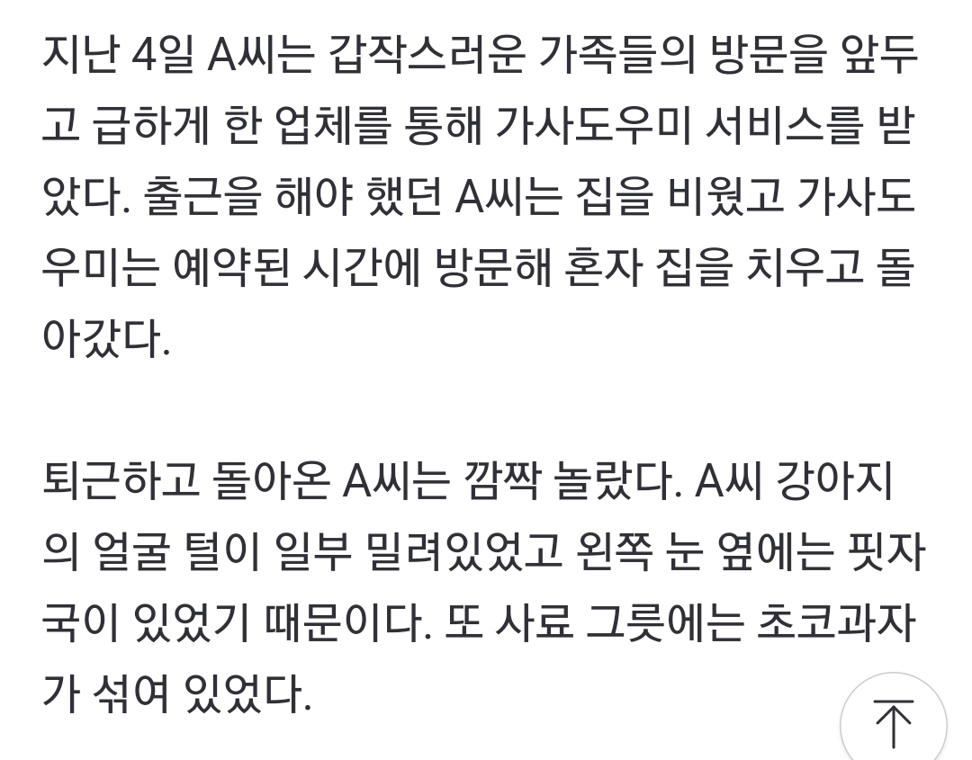 강아지에 초콜릿 주고 바리캉 밀어 상처…가사도우미"귀여워서" | 인스티즈