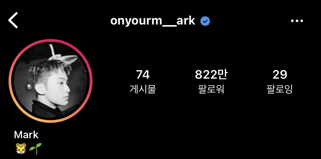 인스타 아이디 센스있게 지은 아이돌 모음 | 인스티즈