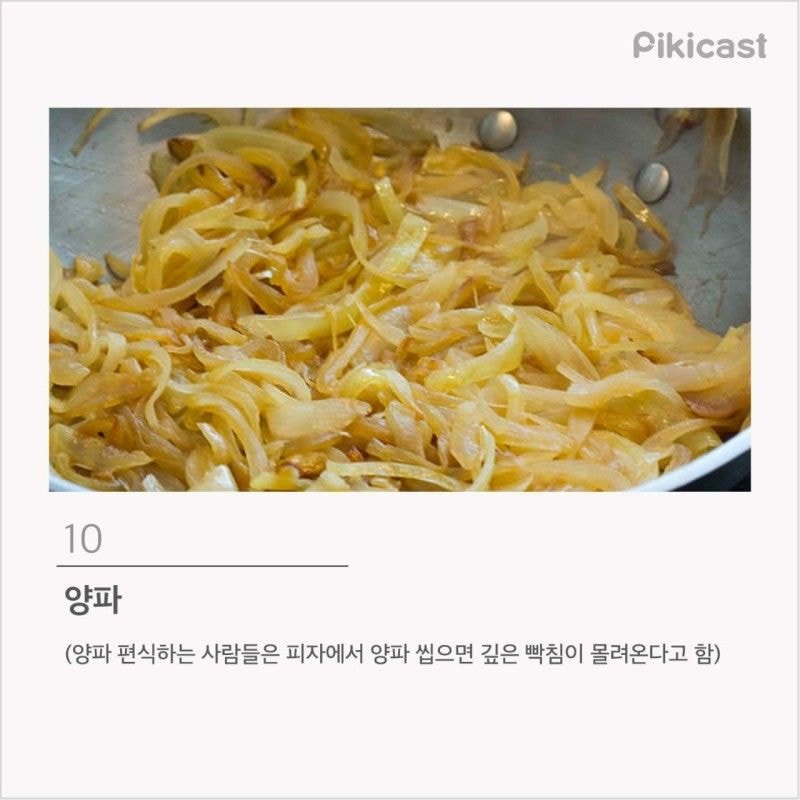 프로편식러 등급 | 인스티즈