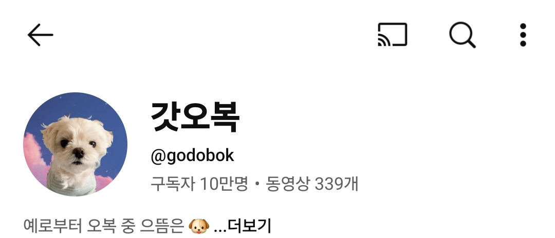 편집 없이 구독자 10만 돌파한 동물 유튜버 | 인스티즈