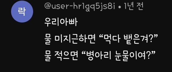 충청도 사투리 영상에 달린 웃긴 댓글 모음 | 인스티즈