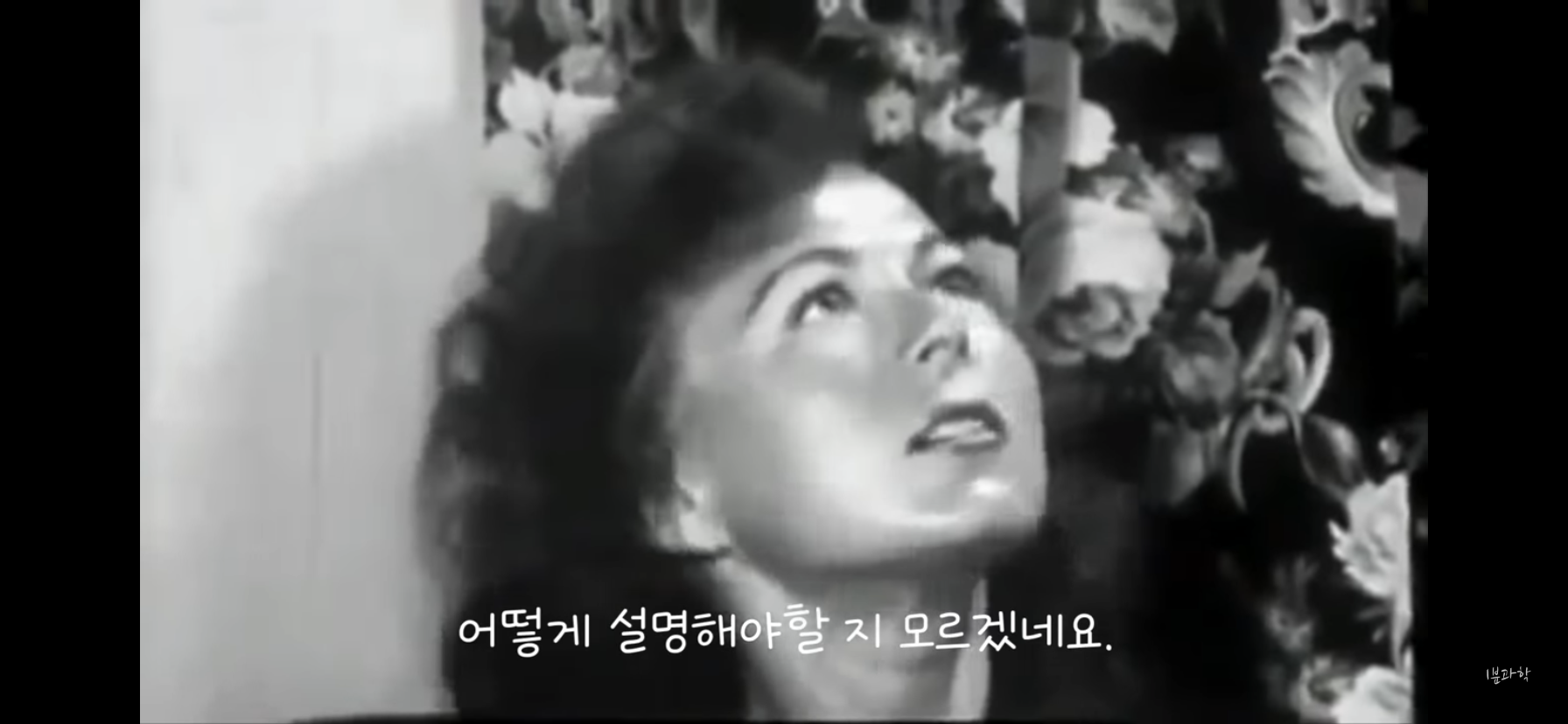 전세계에서 금지된 마약 | 인스티즈