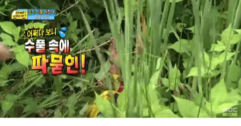 아이들에 대한 애정이 듬뿍 보였던 아빠어디가 제작진과 자막.jpg | 인스티즈