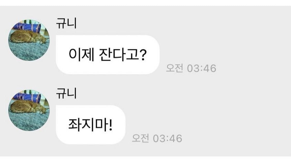 서로 민망하게 만드는 아이돌 버블 금지어 | 인스티즈