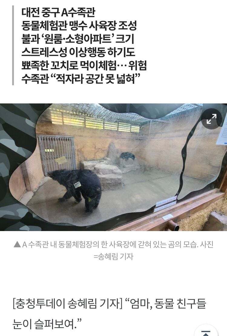 죄 없는 감옥같다는 실내 동물원 | 인스티즈