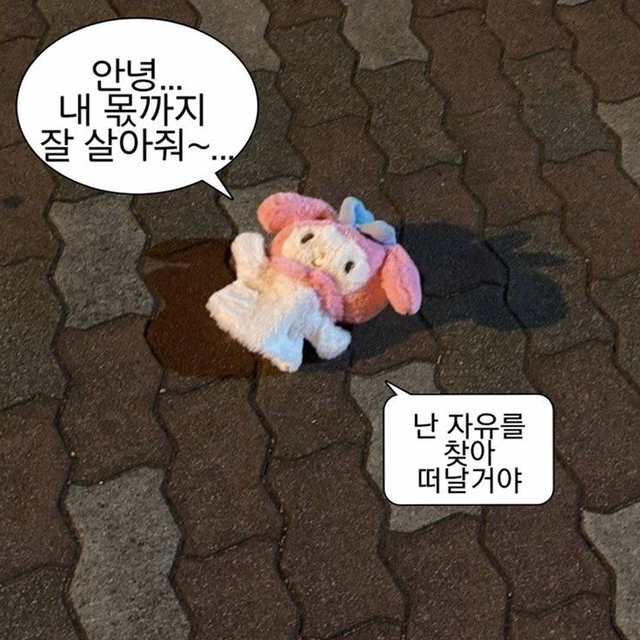 내가 너 좋아하는 거 너도 알잖아 | 인스티즈