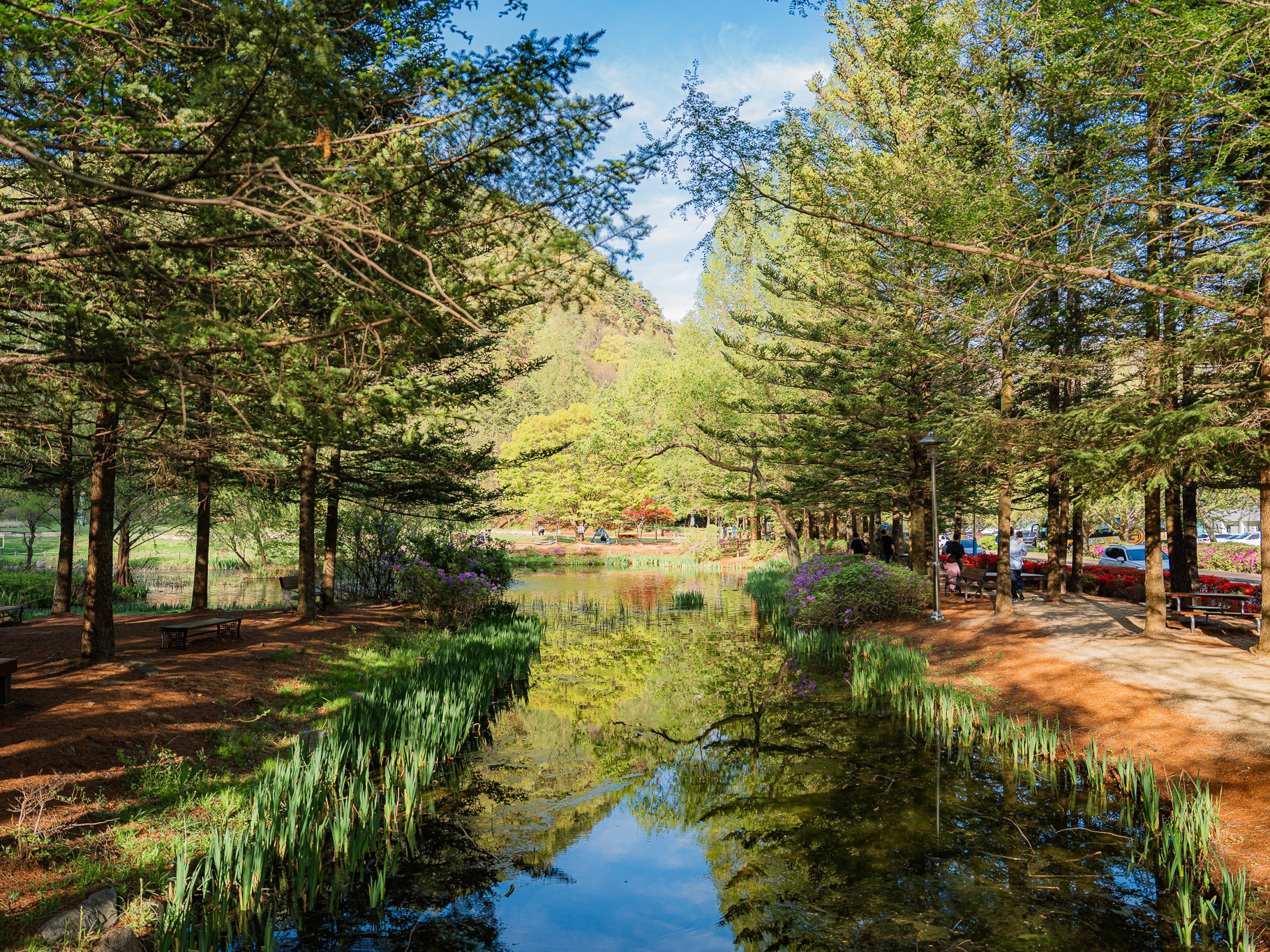 한국관광공사 계정에서 볼 수 있는 한국 | 인스티즈