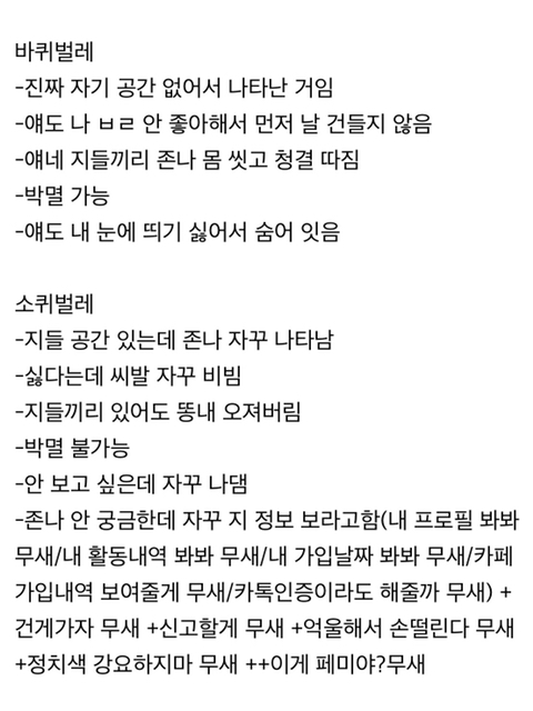 최근 진짜 바퀴벌레를 더이상 무서워하지 않게 된 이유 | 인스티즈