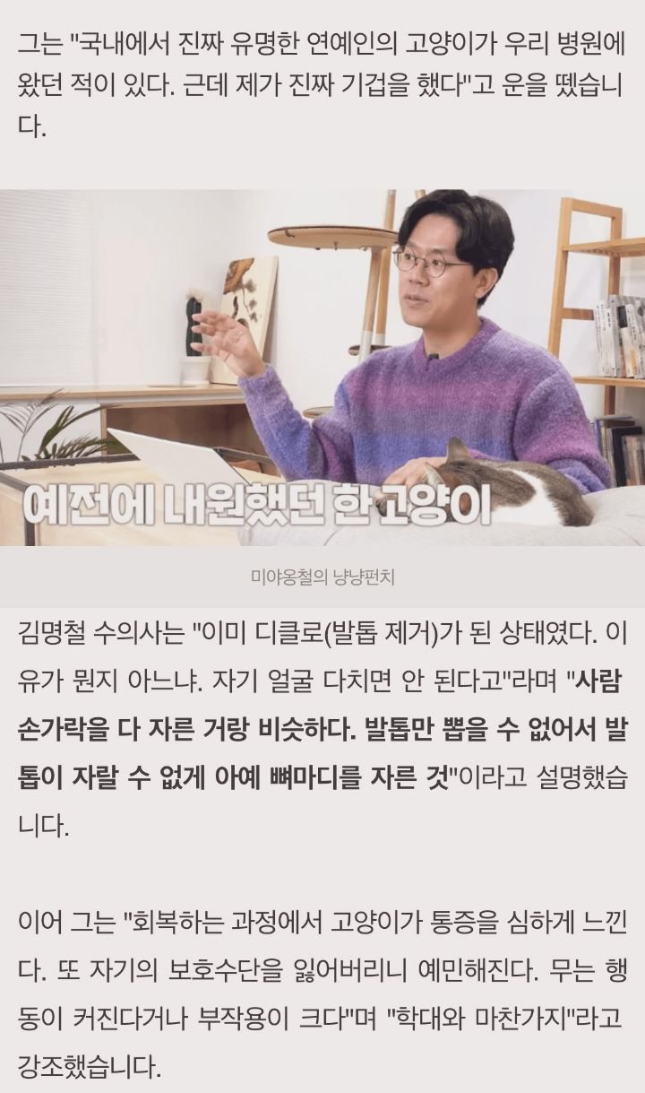 대체 고양이 왜 키우는지 이해가 안감 | 인스티즈