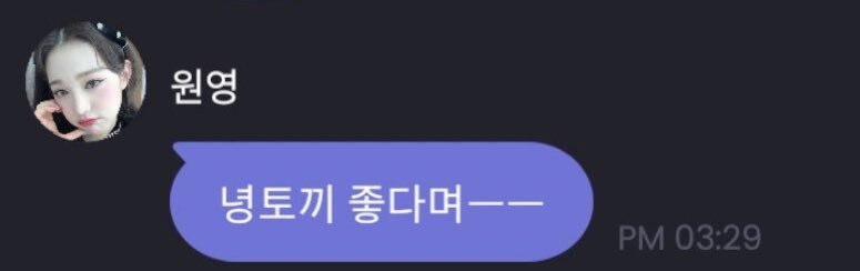 고양이에 진심인 원영이가 자신을 토끼라고 칭하는 유일한 순간 | 인스티즈