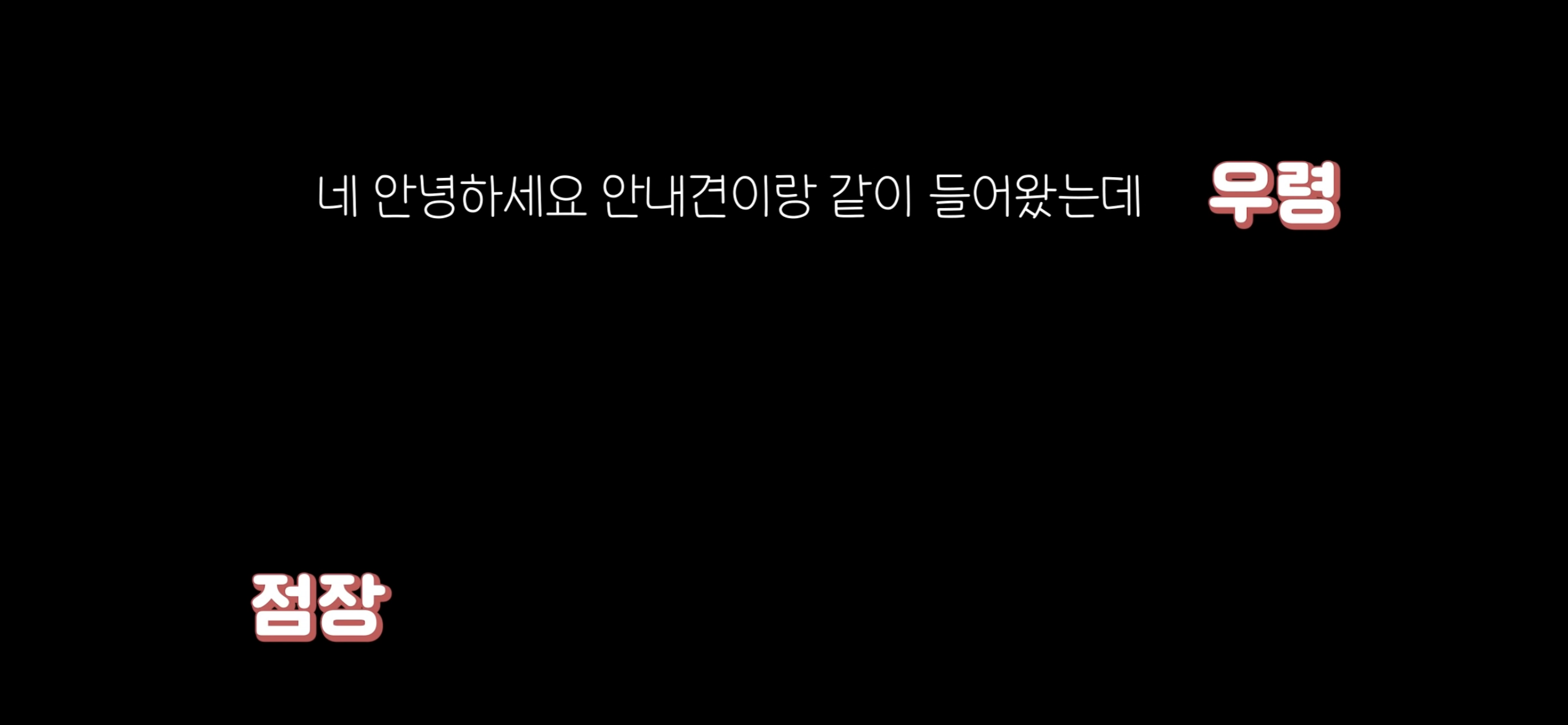 아직도 안내견 거부하는 식당 | 인스티즈