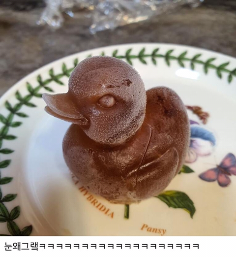 오리 얼음틀을 산 사람.jpg | 인스티즈