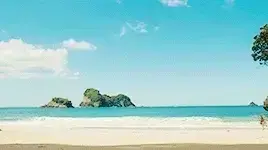 찐처돌이가가 쓰는 당신이 (아마) 몰랐을 나니아 연대기에 관한 정보들2 | 인스티즈