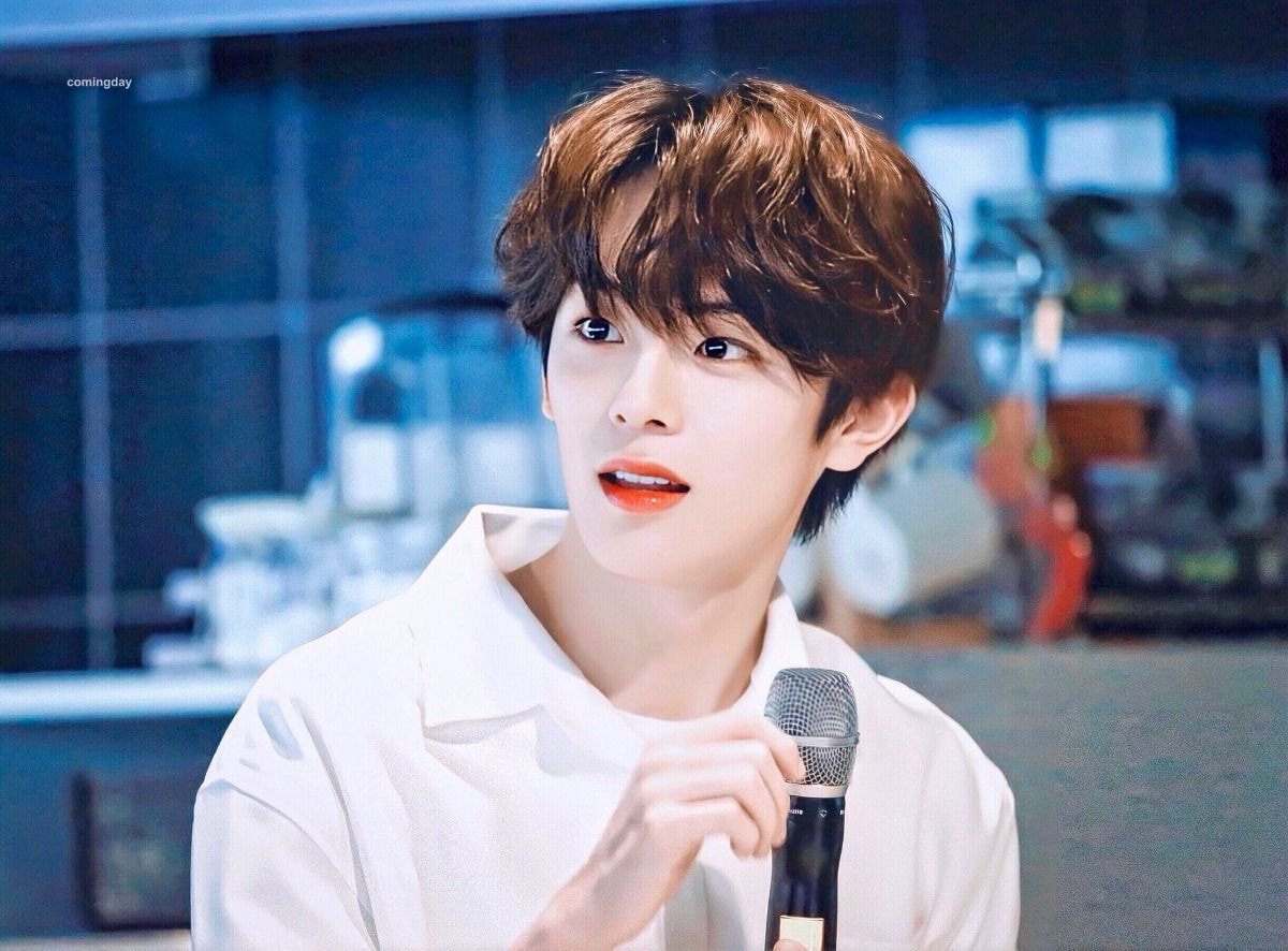 당신의 아이돌은 1월생인가요? | 인스티즈