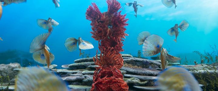 디즈니 인어공주(2023) Official Trailer 8K영상 캡쳐 | 인스티즈