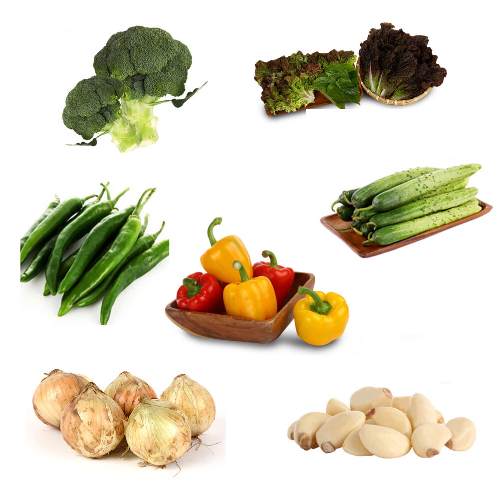 당근이랑 고구마 섞어줬는데....twt | 인스티즈