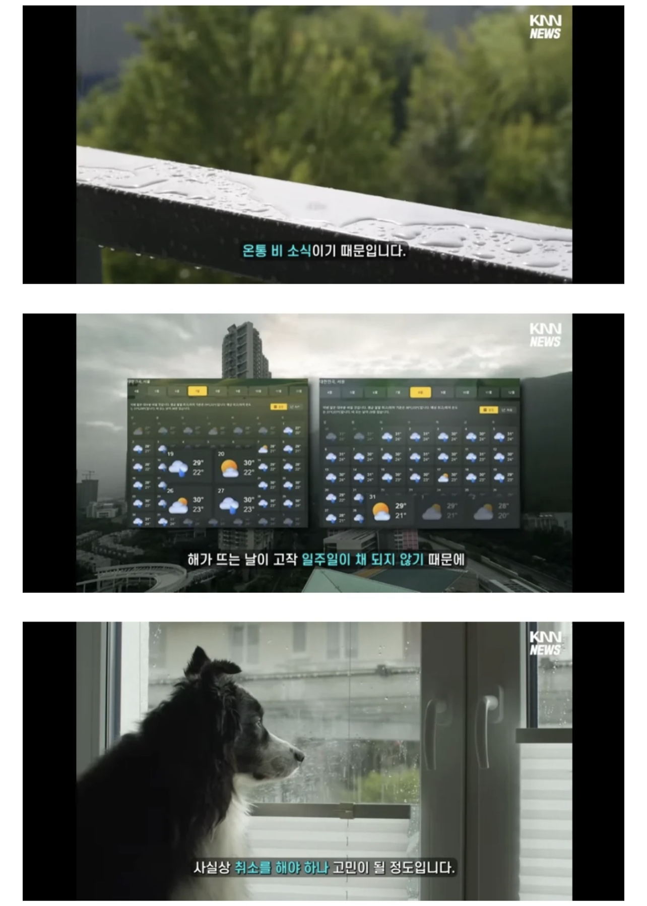 기상예측으로 올해 여름 제대로 해 뜨는 날 고작 5일이라고 함 | 인스티즈