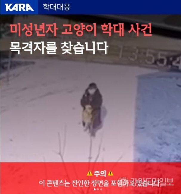 양구 고양이 학대범이 10세 미만 초등생이라니…처벌 고심 | 인스티즈